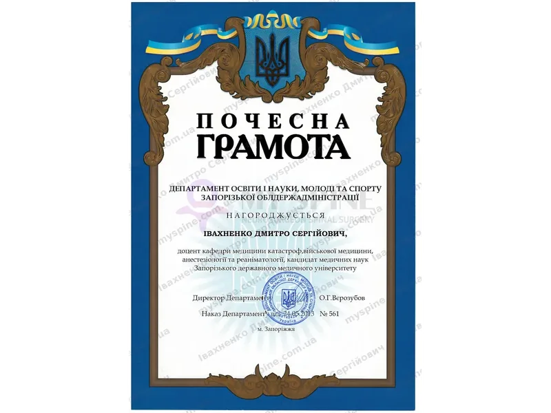 Почесна грамота Департаменту освіти і науки Запорізької ОДА, 2013 рік