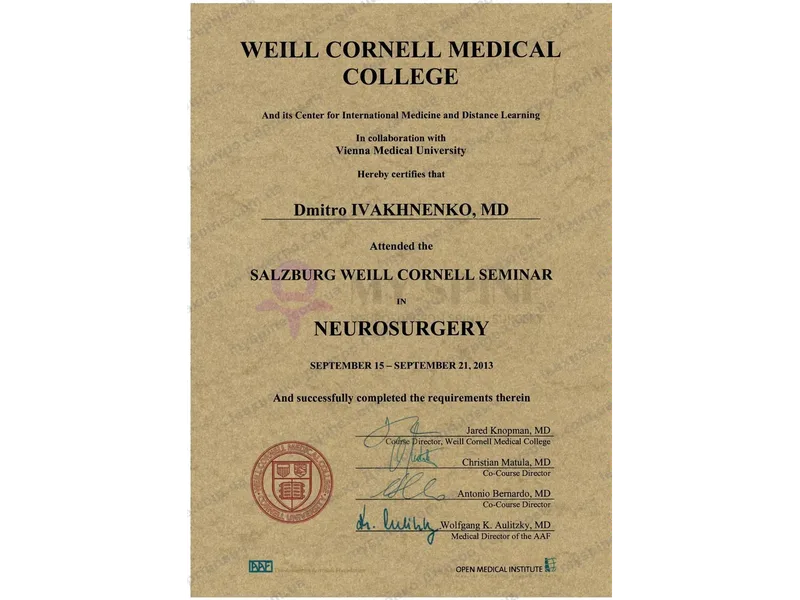 Сертифікат Зальцбурзького семінару Weill Cornell з нейрохірургії, 2013 рік
